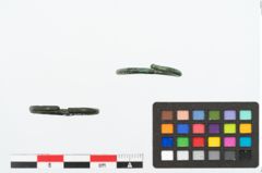 Foto von Bronzering (NHMW-PRAE-025173)